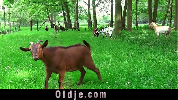 Ugly step old seduced by young hot step daughter for sex
